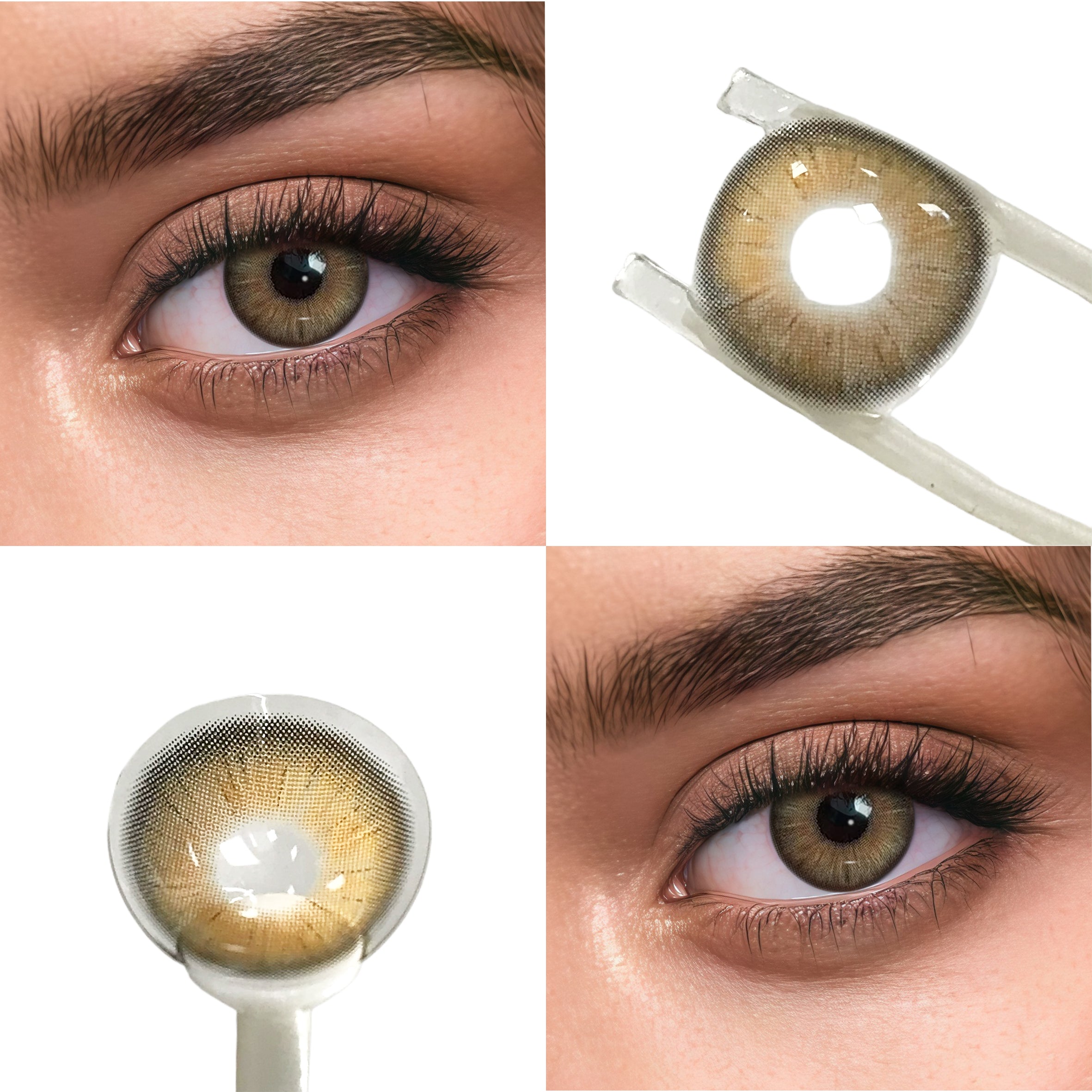 Sandy Twilight (1-Year)