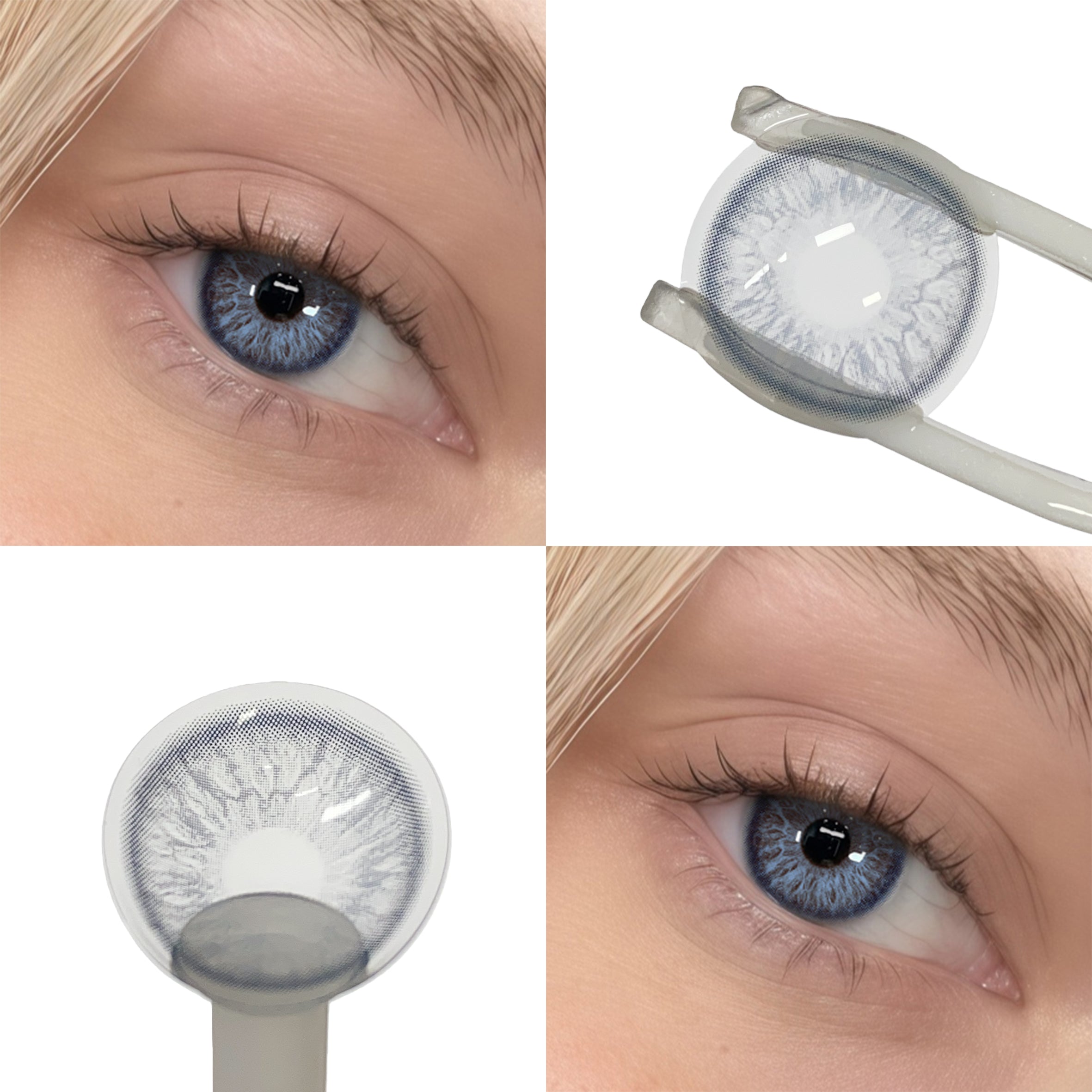 Flirting Blue (1-Year)