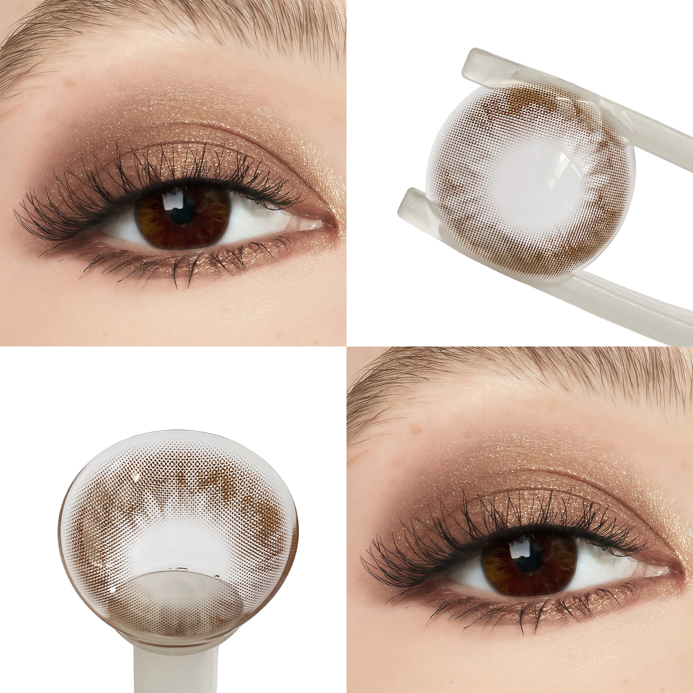 Glowy Brown (1-Year)