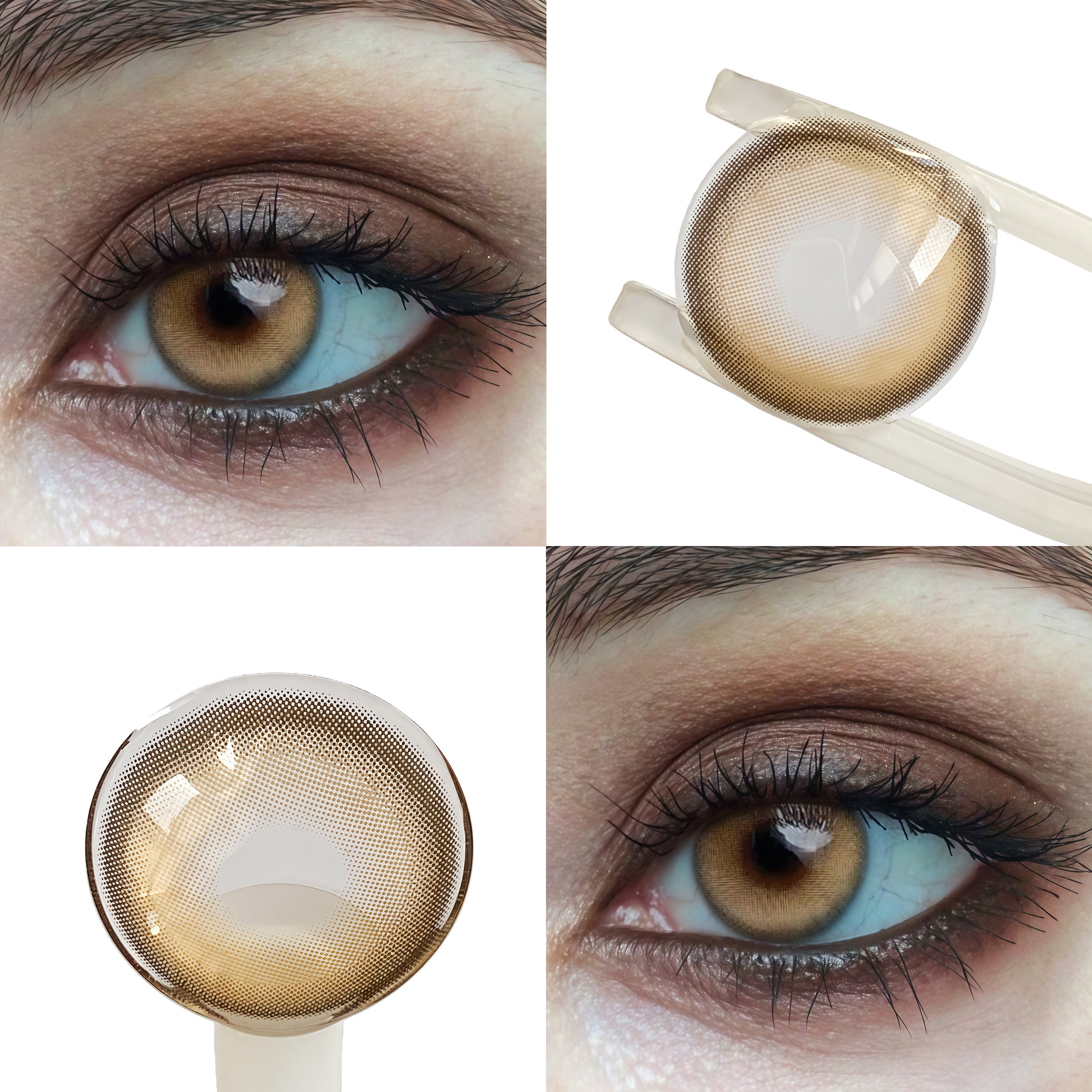 Pudding Caramel (1-Year)