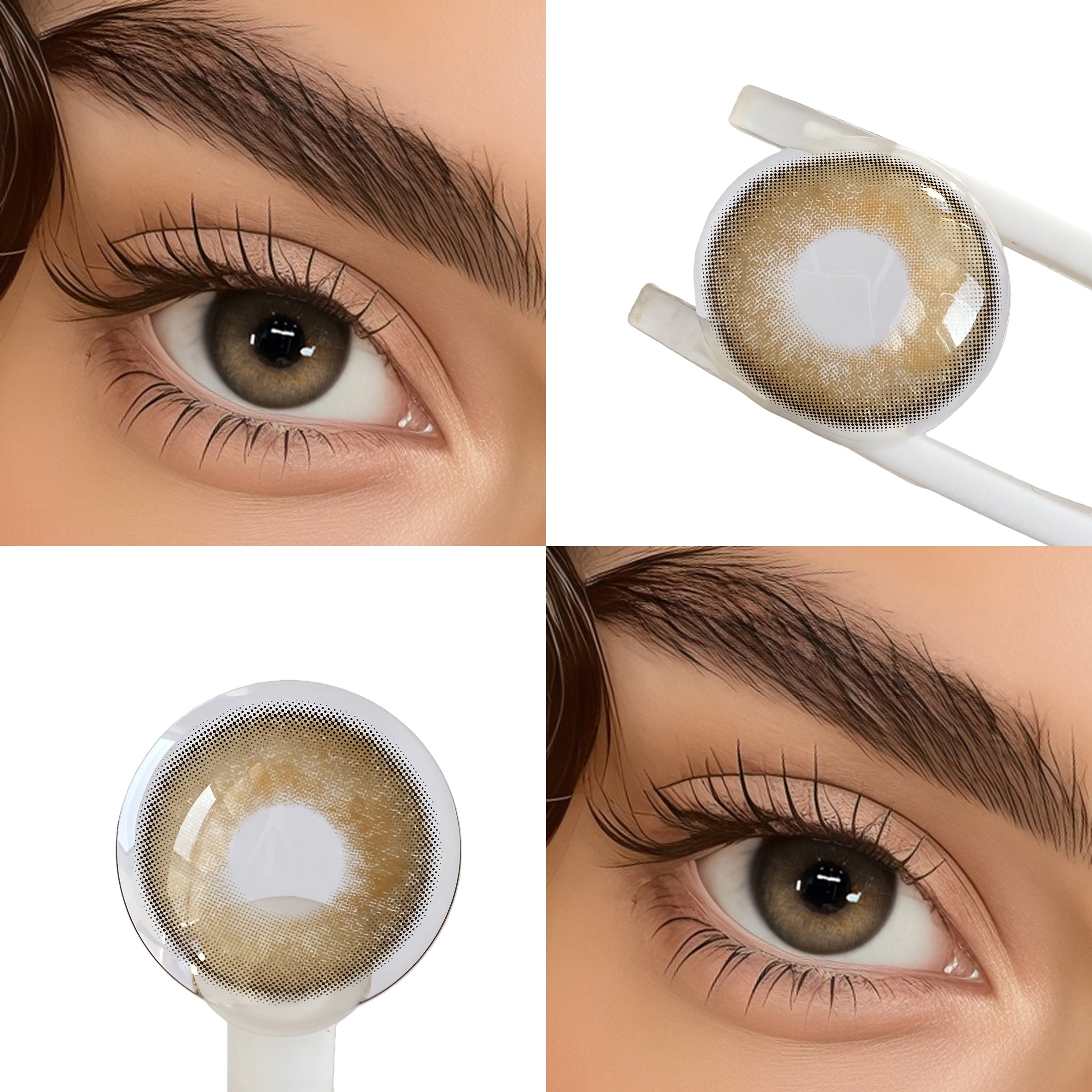 Savage Brown (1-Year)