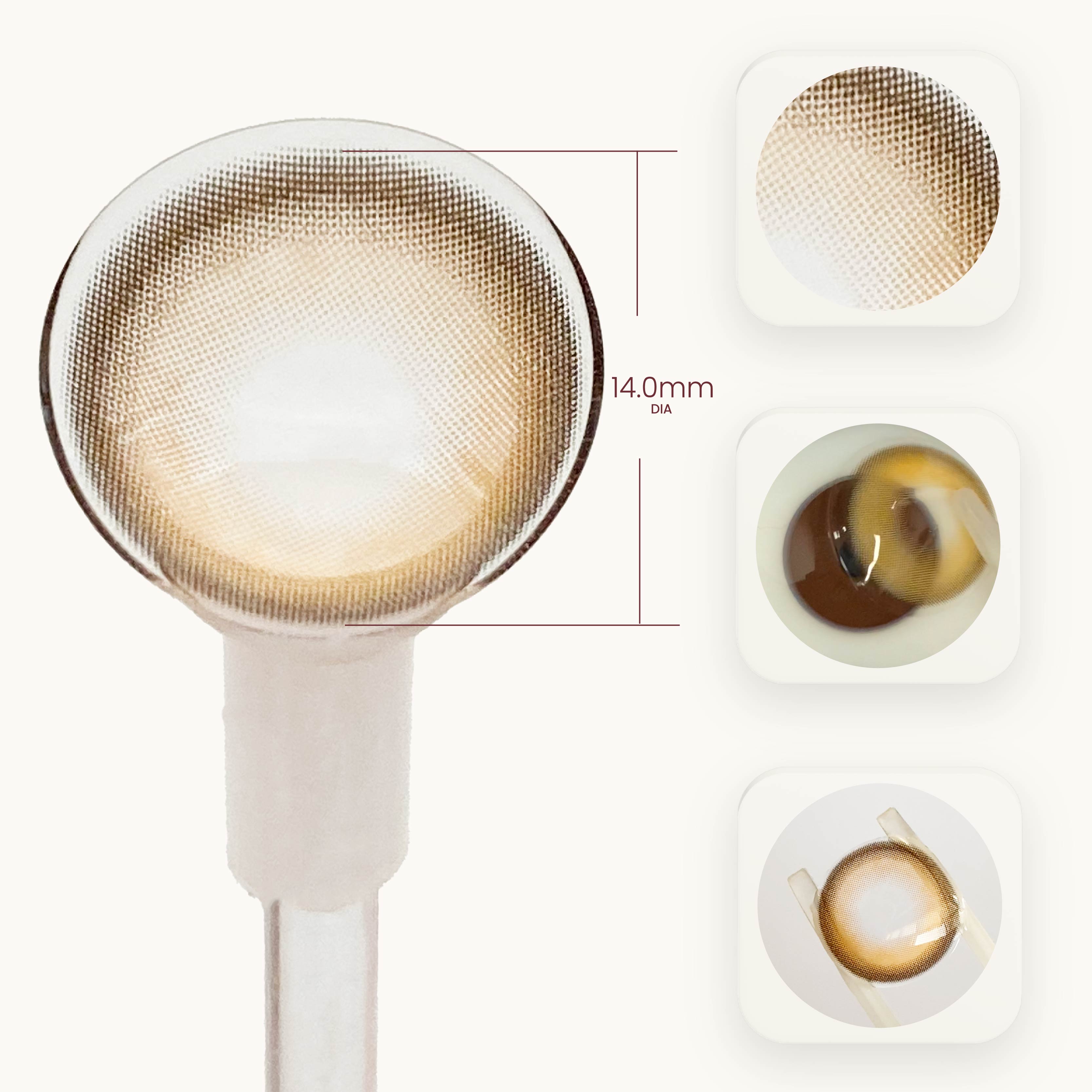 Pudding Caramel (1-Year)