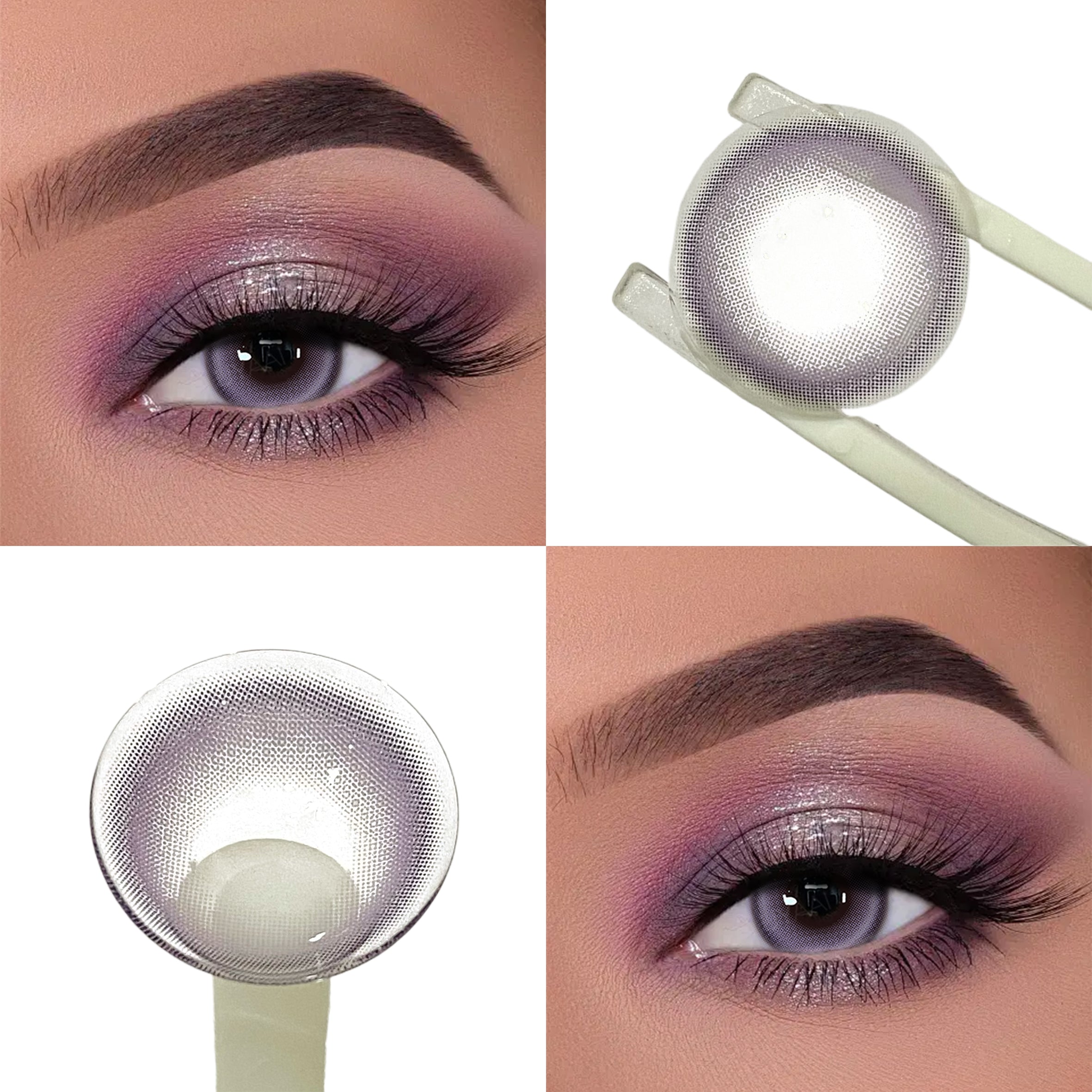 Halo Purple (1-Year)