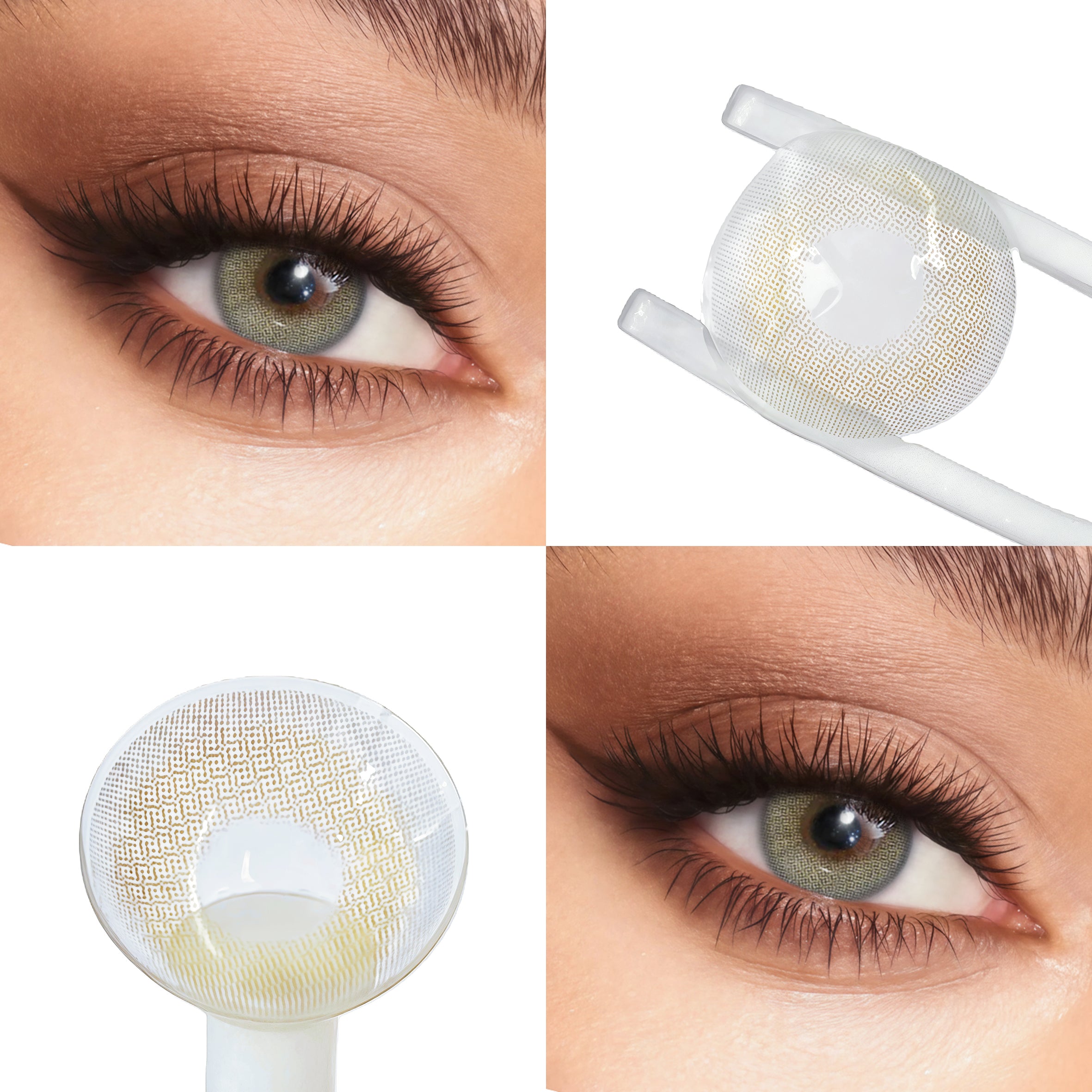 Polar Light Blue Gray (1-Year)