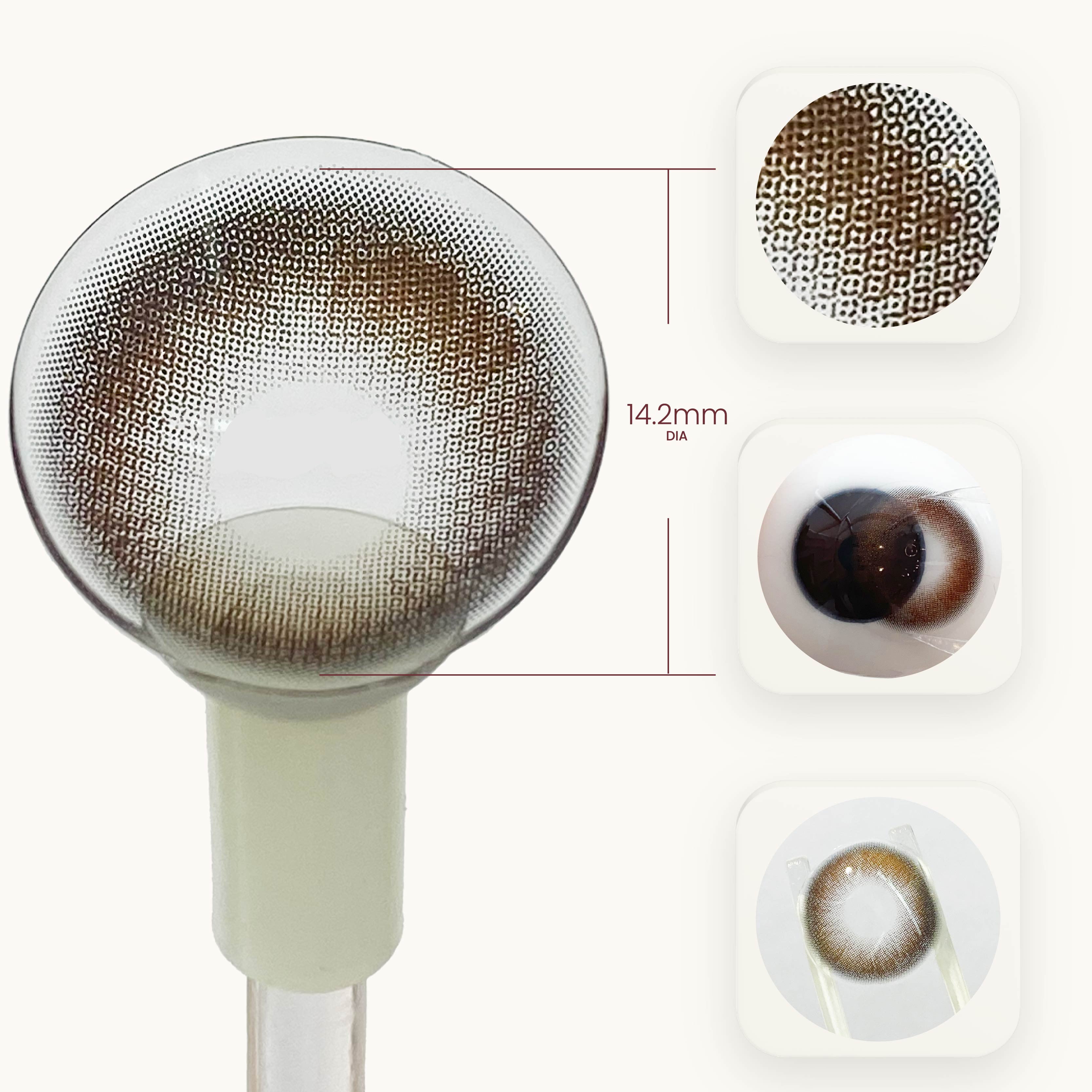 Almond Brown (1-Year)