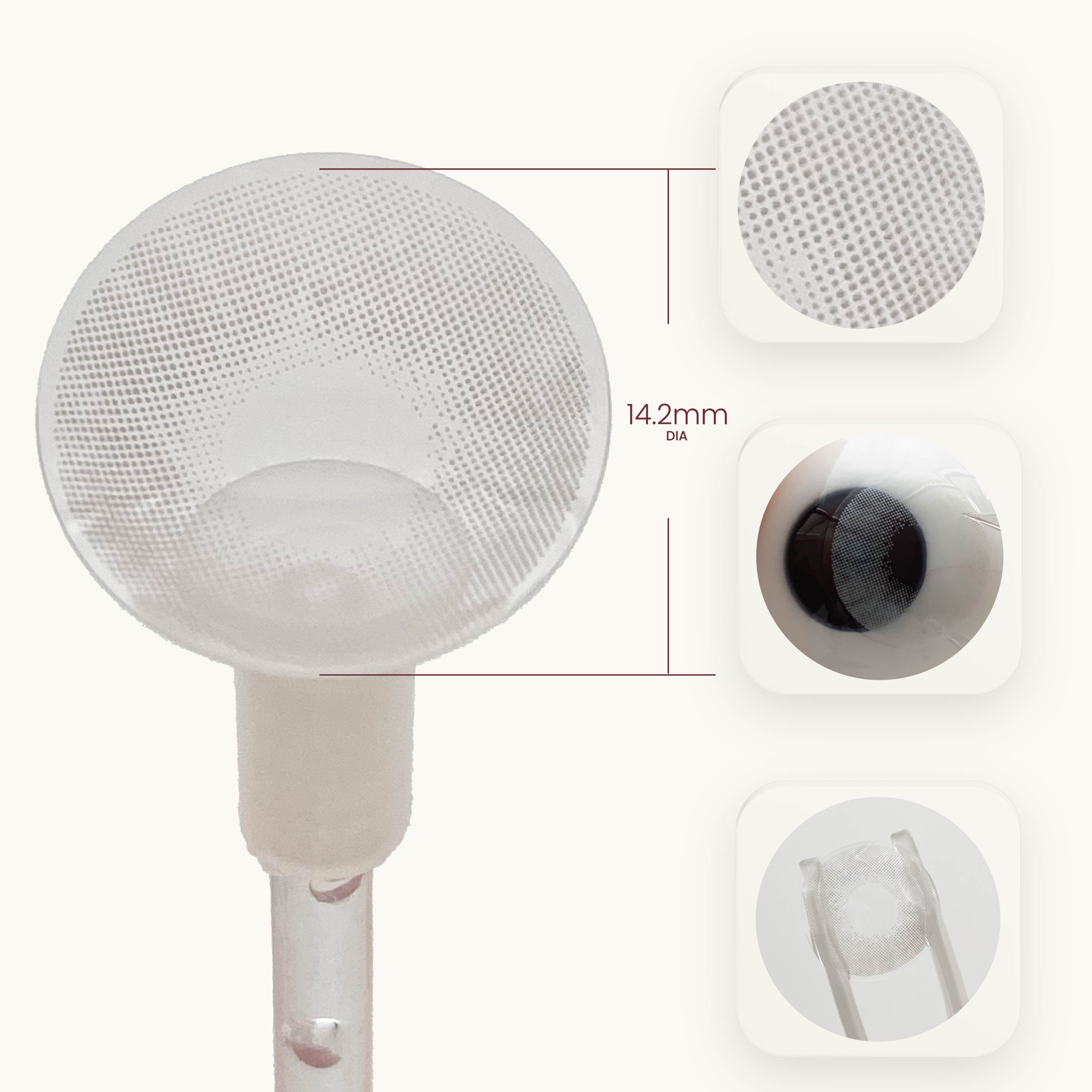 Polar Light Gray (1-Year)