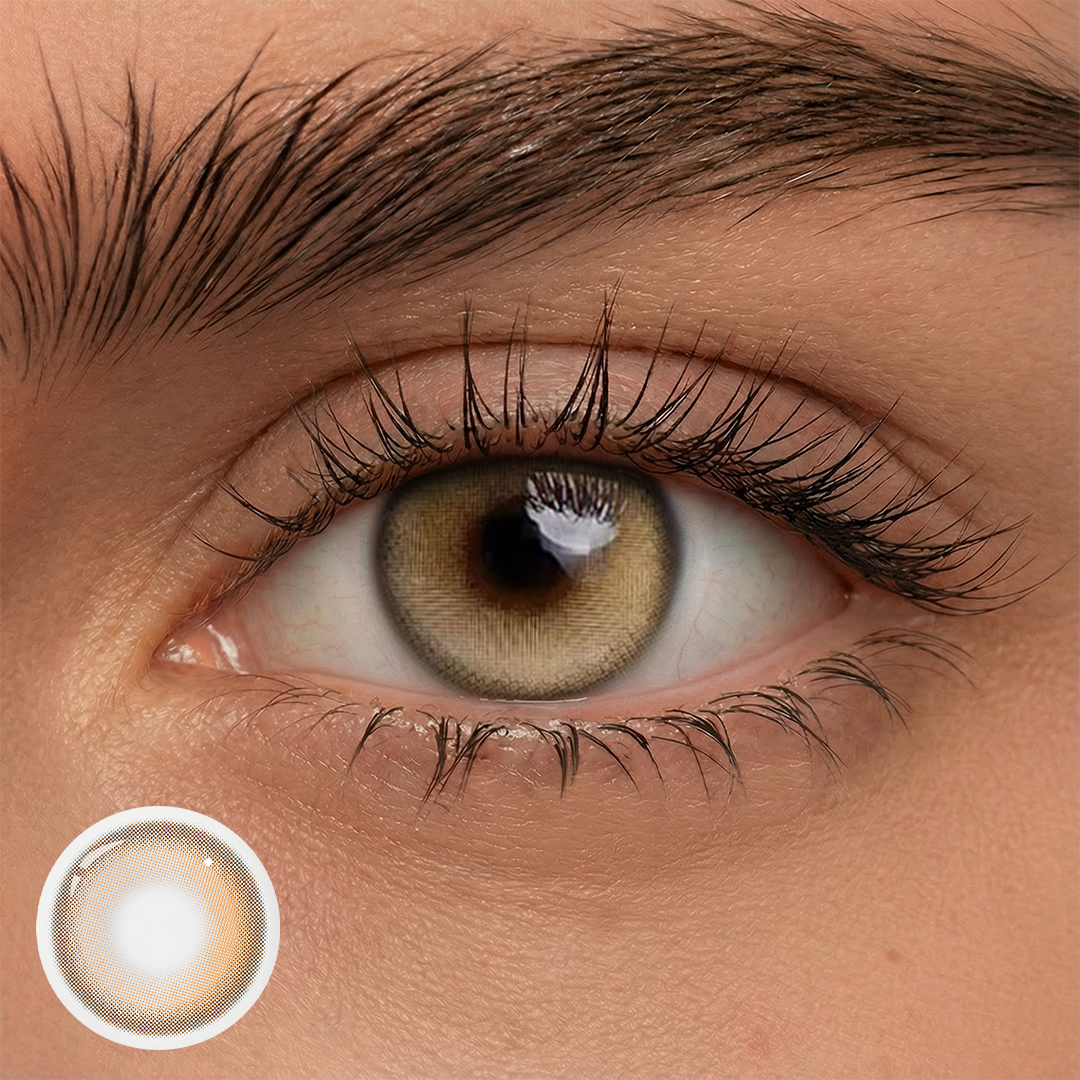 Pudding Caramel (1-Year)